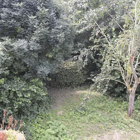 Ahler Kopf Ланштайн