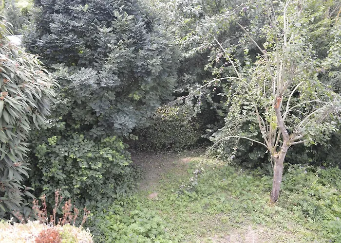 Ahler Kopf Lahnstein